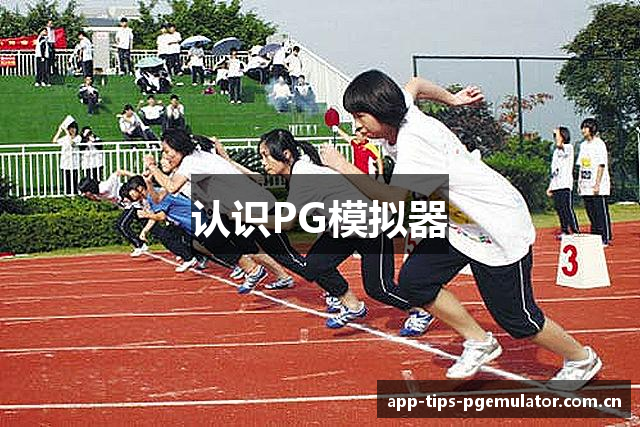 认识PG模拟器